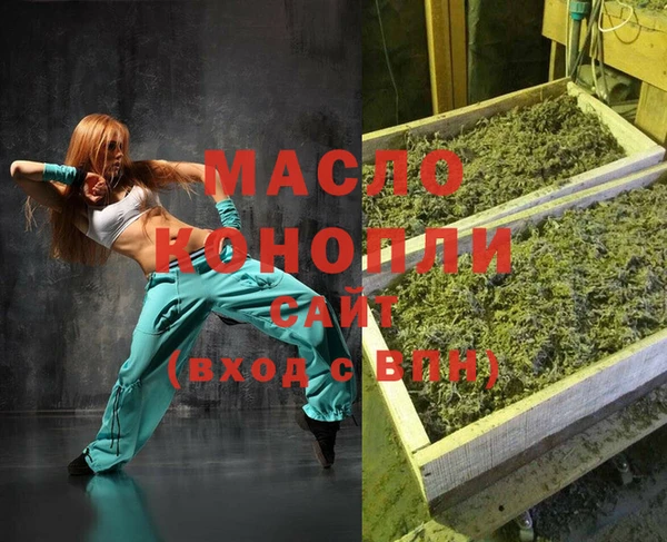 дмт Новодвинск