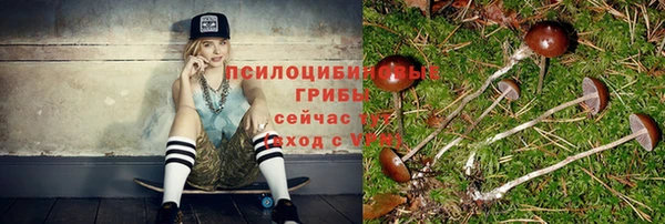 соль ск Мегион