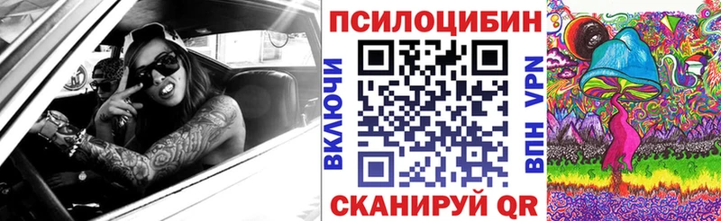 ОМГ ОМГ маркетплейс  Тамбов  Псилоцибиновые грибы MAGIC MUSHROOMS 