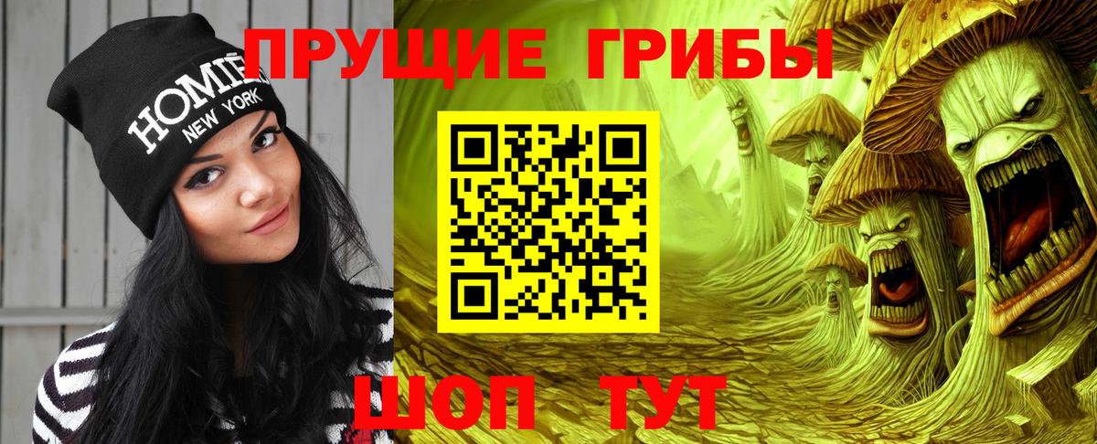 Тамбов  Псилоцибиновые грибы мухоморы  хочу наркоту  Вход с VPN 