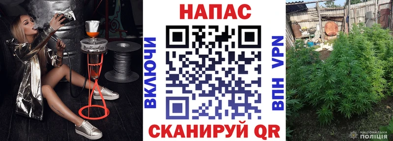 Шишки марихуана VHQ  Тамбов 